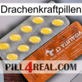 Dragon Power Pills 42